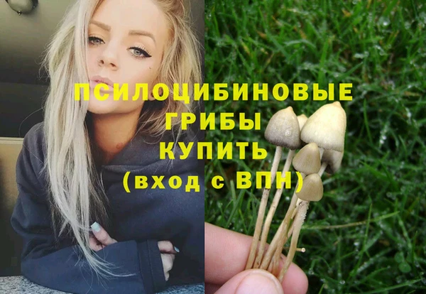 прущие грибы Алексеевка