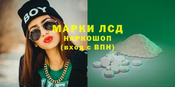 PSILOCYBIN Пересвет