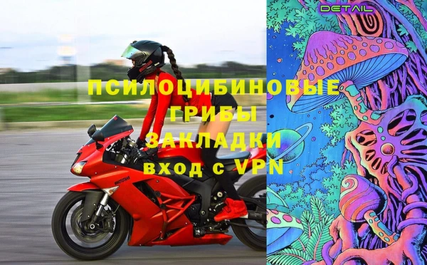 прущие грибы Алексеевка
