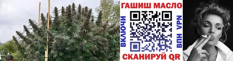 mega как зайти  где продают   Покров  Дистиллят ТГК концентрат 