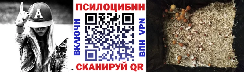 Галлюциногенные грибы прущие грибы  Покров 